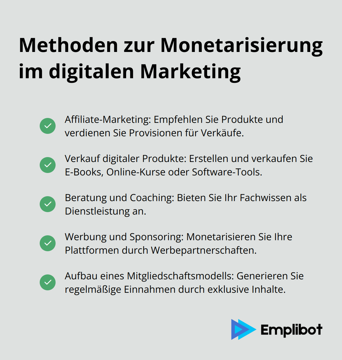 Eine Checkliste mit fünf Methoden zur Monetarisierung im digitalen Marketing: Affiliate-Marketing, Verkauf digitaler Produkte, Beratung und Coaching, Werbung und Sponsoring, und Aufbau eines Mitgliedschaftsmodells. - digital marketing geld verdienen
