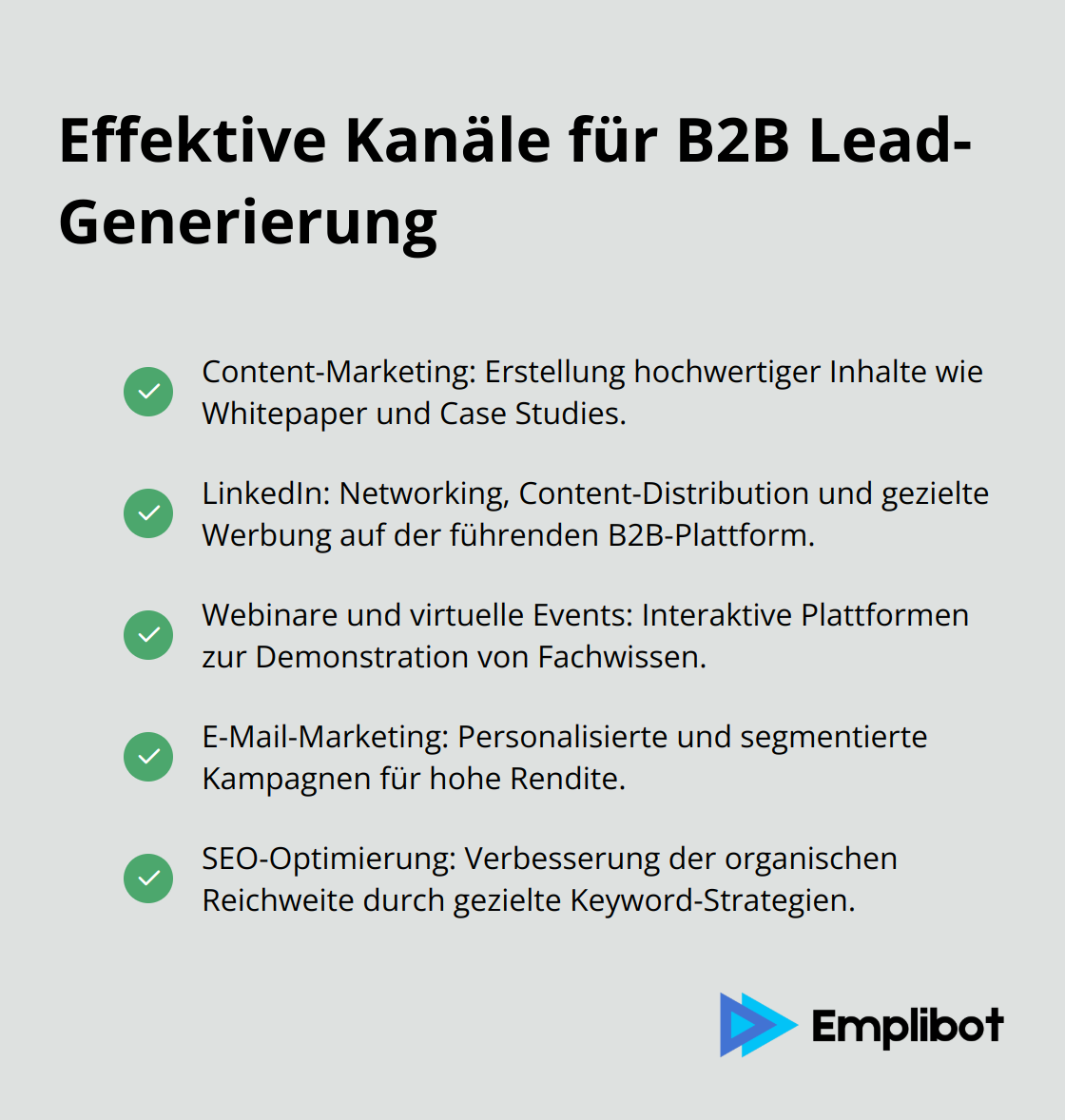 Eine Liste der effektivsten Kanäle für B2B Lead-Generierung, dargestellt als Checkmark-Liste. - lead generierung b2b